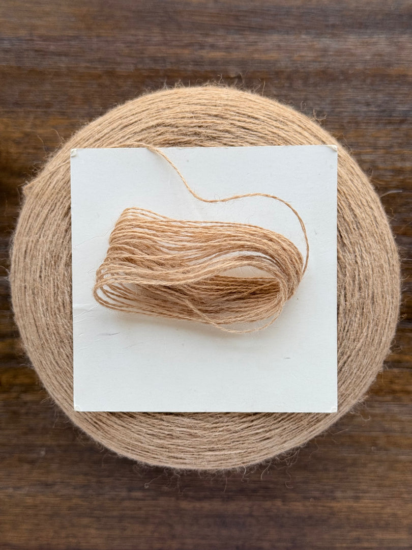Biagioli Modesto Samarkand 100 Camel Hair Cone Yarn