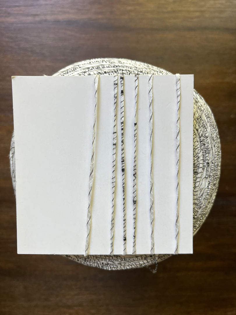 Ilaria Signac Textured Tape Cotton Yarn · 1/2.5nm White & Black · Irregular Pattern · Italy